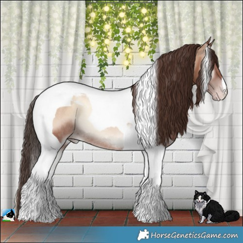 Horse Color:Classic Champagne Onyx Tobiano Rabicano 