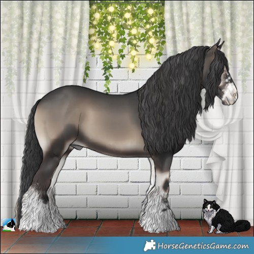 Horse Color:Blue Onyx Sabino 