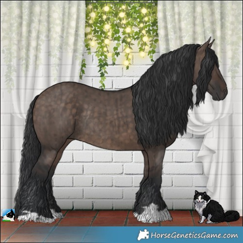 Horse Color:Brown Dun Mushroom Rabicano Brindle 