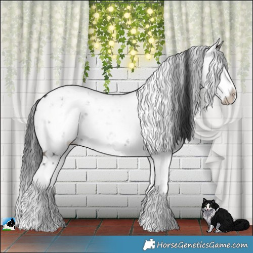 Horse Color:Grullo Sabino Splash Rabicano Brindle 