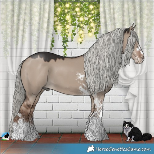 Horse Color:Liver Red Dun Mushroom Sabino 
