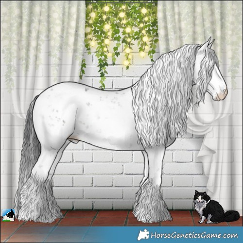 Horse Color:Brown Dun Mushroom Sabino Rabicano 