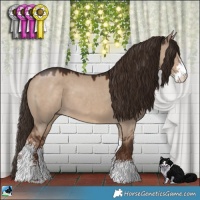 Horse Color:Liver Red Dun Sabino