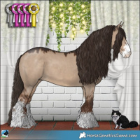 Horse Color:Liver Red Dun Sabino
