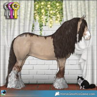 Horse Color:Liver Red Dun Sabino