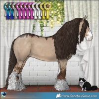 Horse Color:Liver Red Dun Sabino