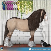 Horse Color:Liver Red Dun Sabino 
