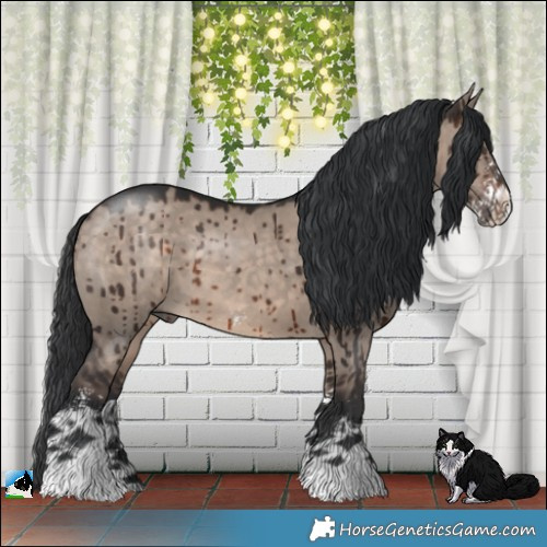 Horse Color:Brown Dun Mushroom Sabino Brindle 