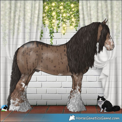 Horse Color:Liver Red Dun Sabino Brindle 