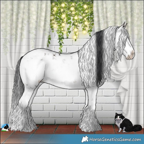 Horse Color:Brown Dun Mushroom Sabino Splash Rabicano 