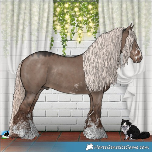 Horse Color:Liver Red Dun Mushroom Sabino Rabicano 