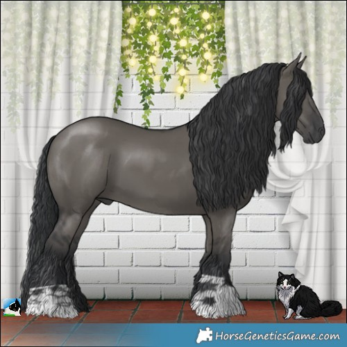 Horse Color:Grullo Mushroom 