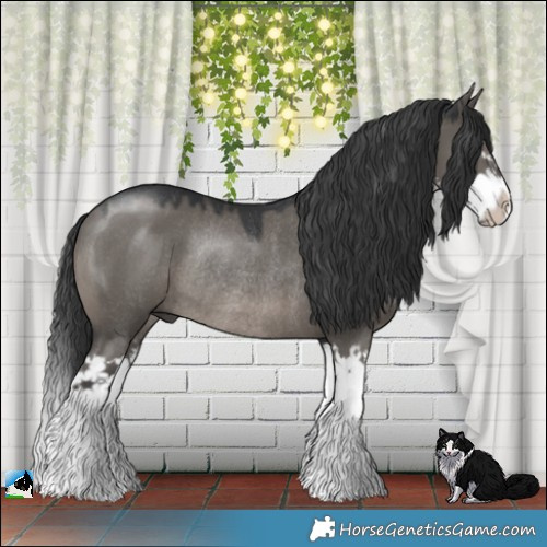 Horse Color:Grullo Mushroom Sabino Splash Rabicano 
