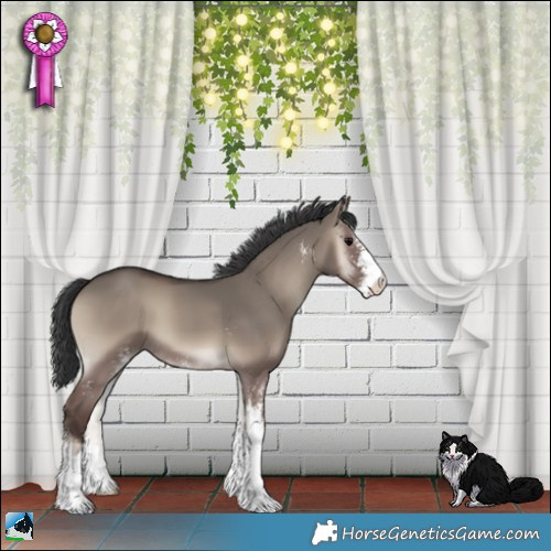 Horse Color:Grullo Onyx Sabino 