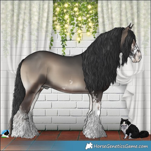 Horse Color:Blue Onyx Sabino 