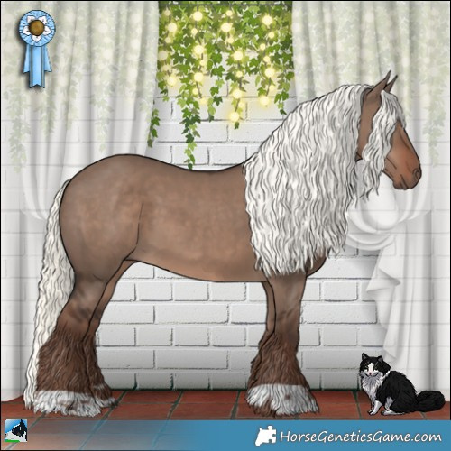 Horse Color:Liver Red Dun Mushroom 