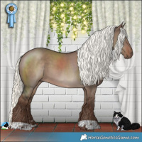 Horse Color:Liver Red Dun Mushroom 