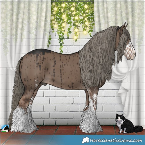 Horse Color:Liver Red Dun Mushroom Sabino Brindle 