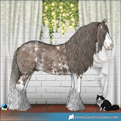 Horse Color:Liver Red Dun Mushroom Sabino Splash 