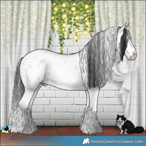 Horse Color:Grullo Mushroom Sabino Splash 