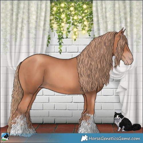 Horse Color:Gold Champagne 