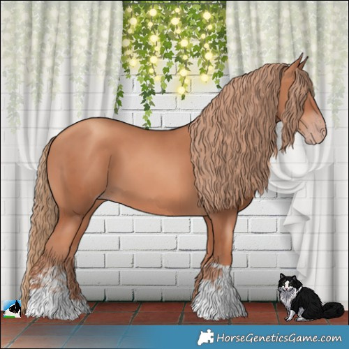 Horse Color:Gold Champagne