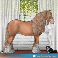 Horse Color:Gold Champagne 