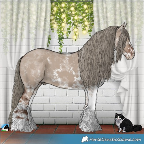 Horse Color:White Spotted Liver Red Dun Mushroom 