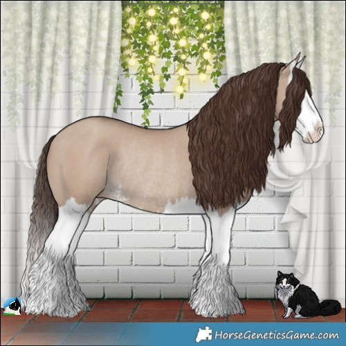 Horse Color:Classic Champagne Dun Sabino Splash Rabicano 