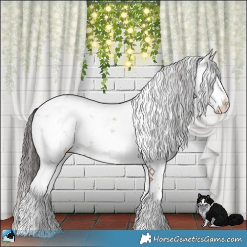 Horse Color:Sable Champagne Sabino Rabicano 