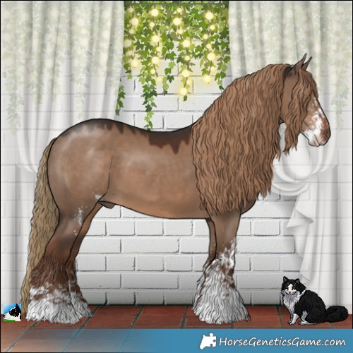Horse Color:Liver Red Dun Sabino 
