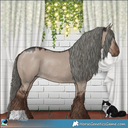 Horse Color:Liver Red Dun Mushroom Rabicano