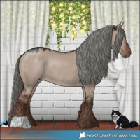 Horse Color:Liver Red Dun Mushroom Rabicano 