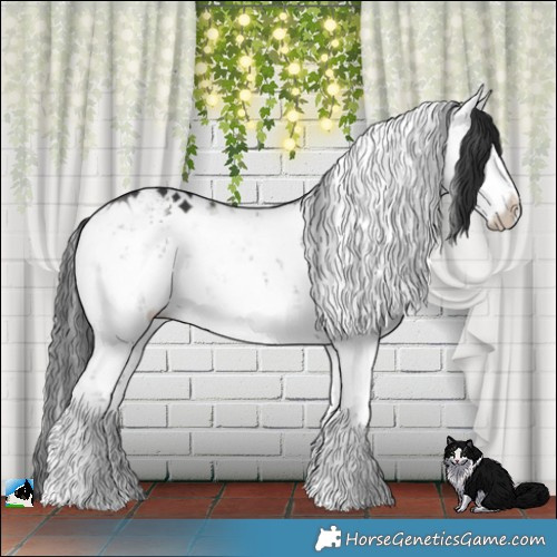 Horse Color:Grullo Mushroom Sabino Brindle 