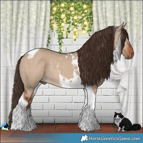 Horse Color:Liver Red Dun Tobiano Rabicano 