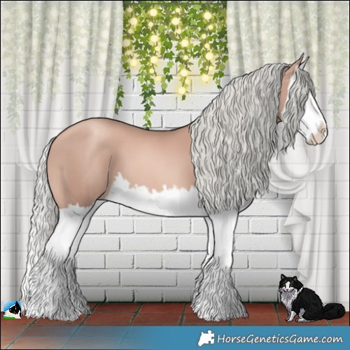 Horse Color:Gold Champagne Mushroom Splash 