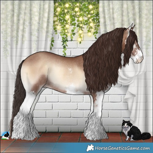 Horse Color:Classic Champagne Onyx Sabino Rabicano 