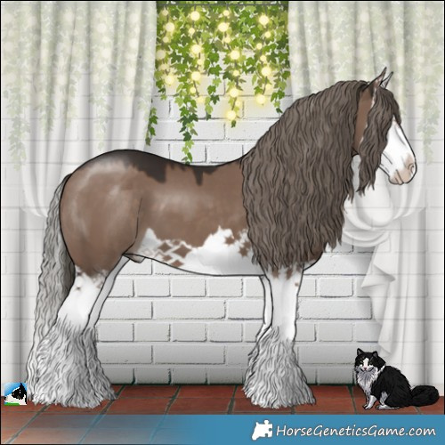 Horse Color:Liver Red Dun Mushroom Splash 