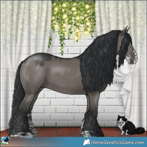 Horse Color:Grullo Mushroom Sabino