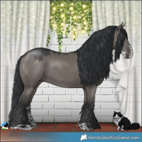 Horse Color:Grullo Mushroom Sabino 