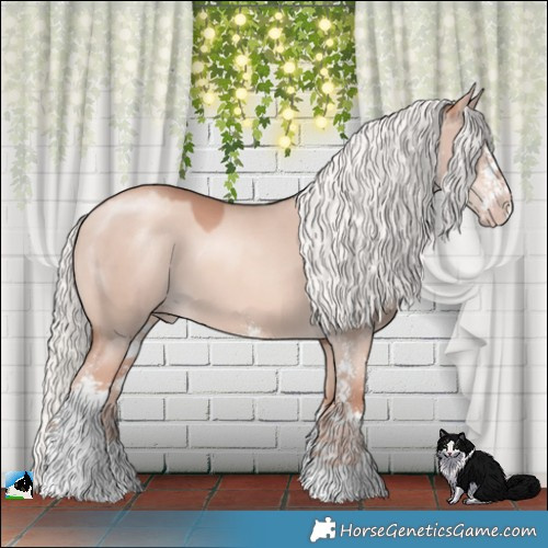 Horse Color:Gold Champagne Dun Mushroom Sabino 