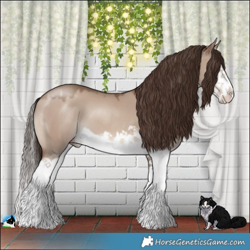 Horse Color:Classic Champagne Dun Splash 