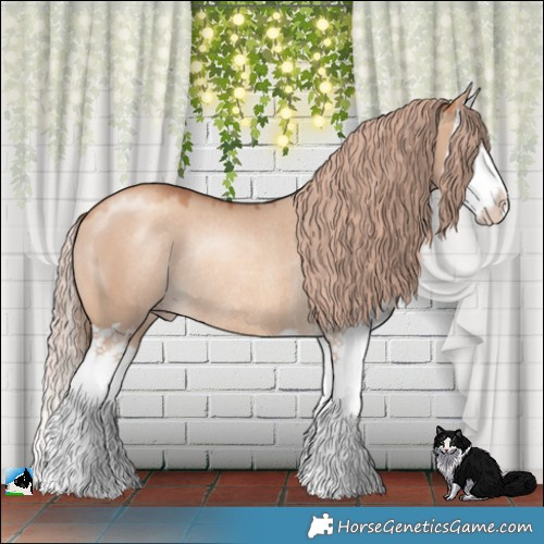 Horse Color:Gold Champagne Dun Splash Rabicano 