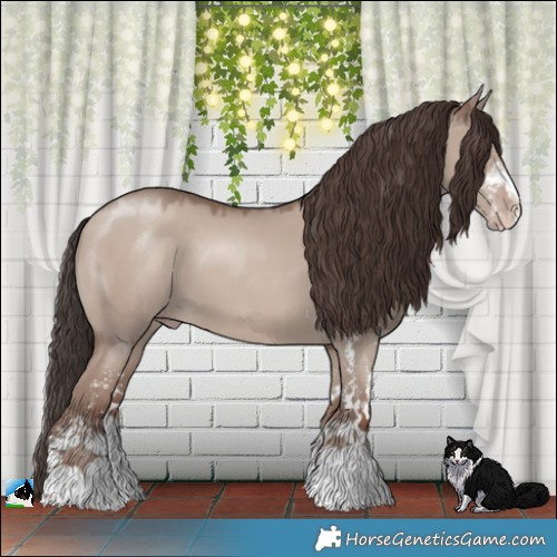 Horse Color:Classic Champagne Dun Mushroom Sabino 
