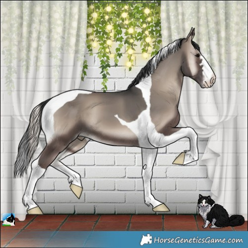 Horse Color:Blue Onyx Tobiano 