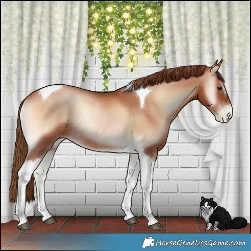 Horse Color:Brown Pearl Onyx Tobiano Rabicano 
