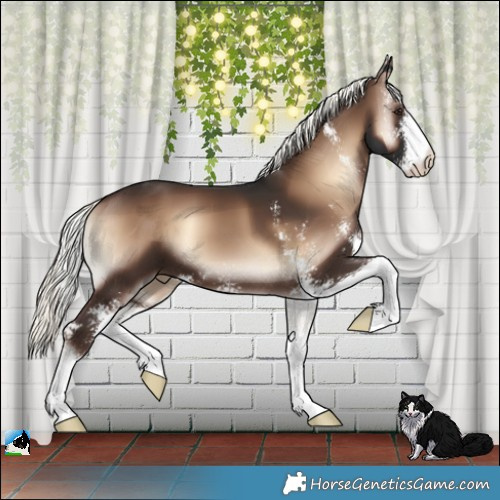 Horse Color:Liver Red Onyx Mushroom Sabino 