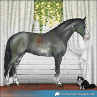 Horse Color:Black Sabino