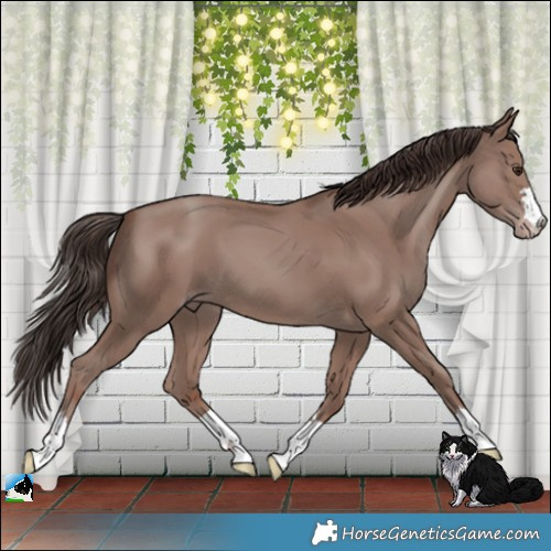 Horse Color:Classic Champagne Mushroom 