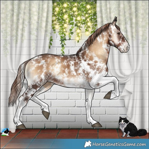 Horse Color:Liver Red Onyx Sabino 